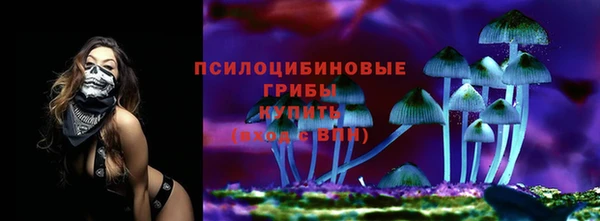 apvp Медногорск
