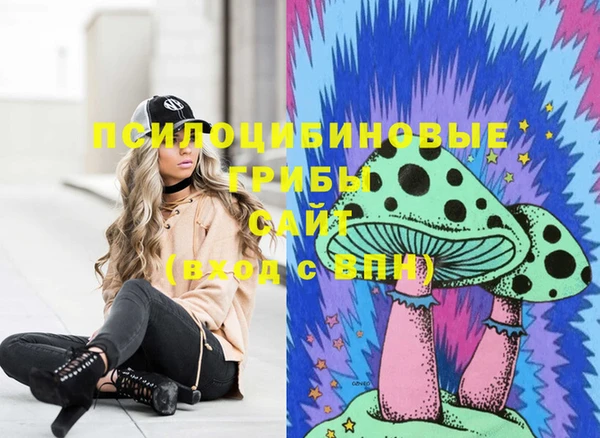 дмт Алзамай